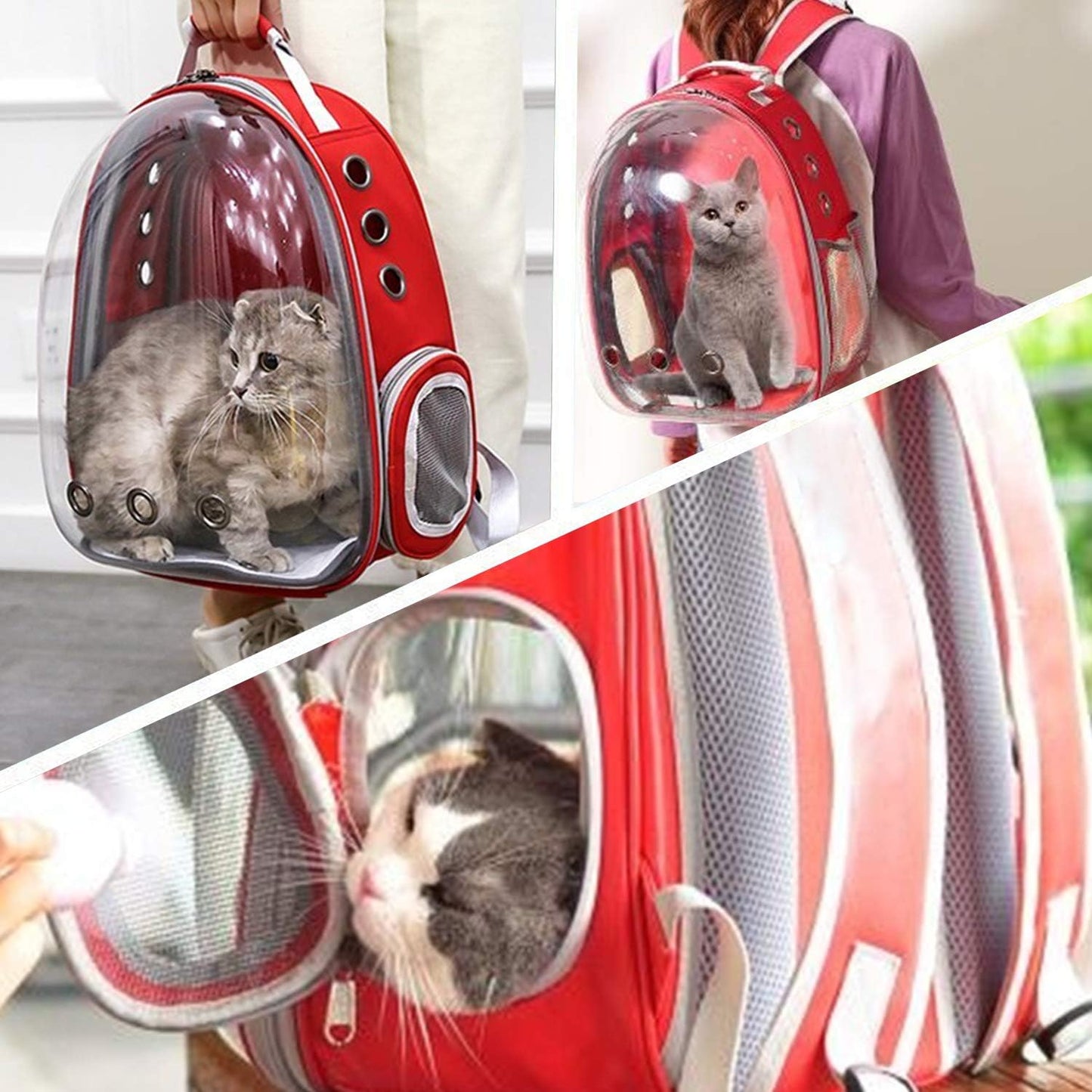 Cat and Small Dog Backpack Carrier - Airline Approved Space Capsule Bubble Design, Ventilated Transparent Travel Carrier for Hiking and Outdoor Adventures - Red