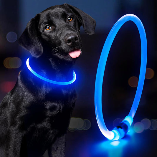 Waterproof Rechargeable LED Dog Collar - Customizable TPU Glow-in-the-Dark Safety Light for Night Walks (Blue)