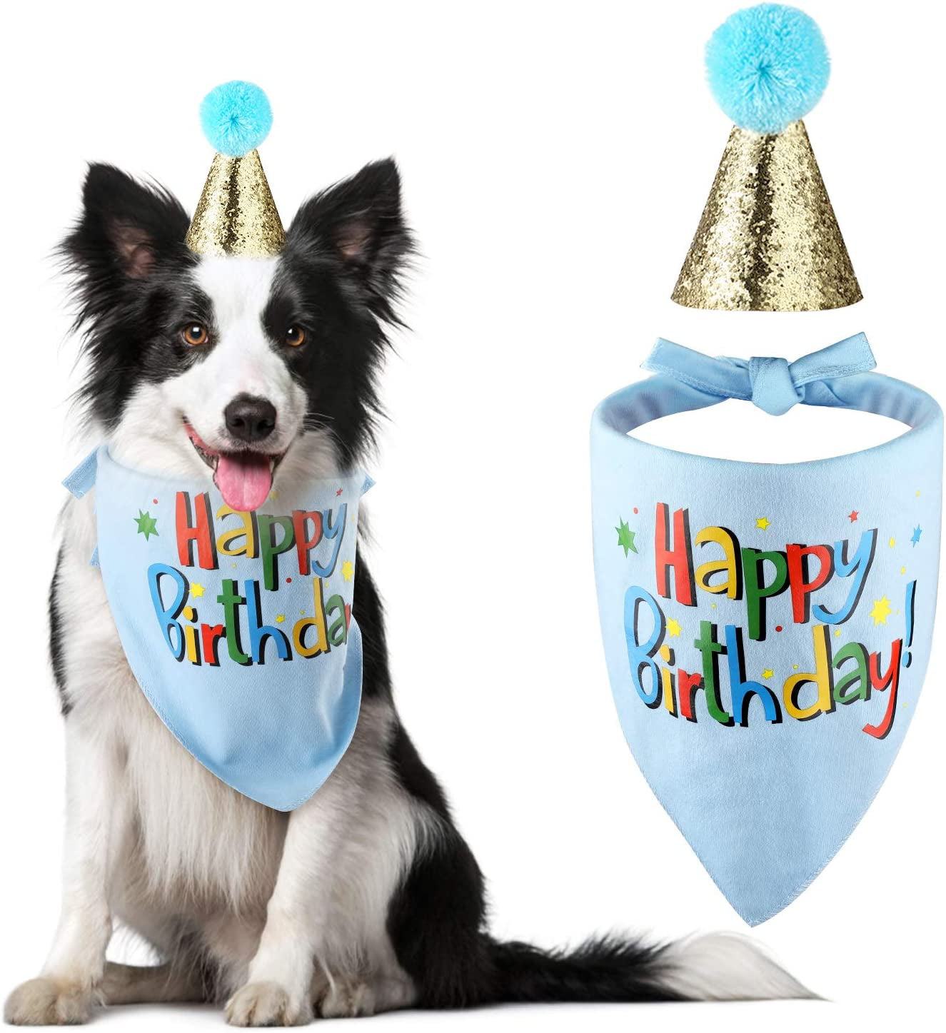 Dog Birthday Bandana and Hat Set for Boys - Party Supplies (Blue)