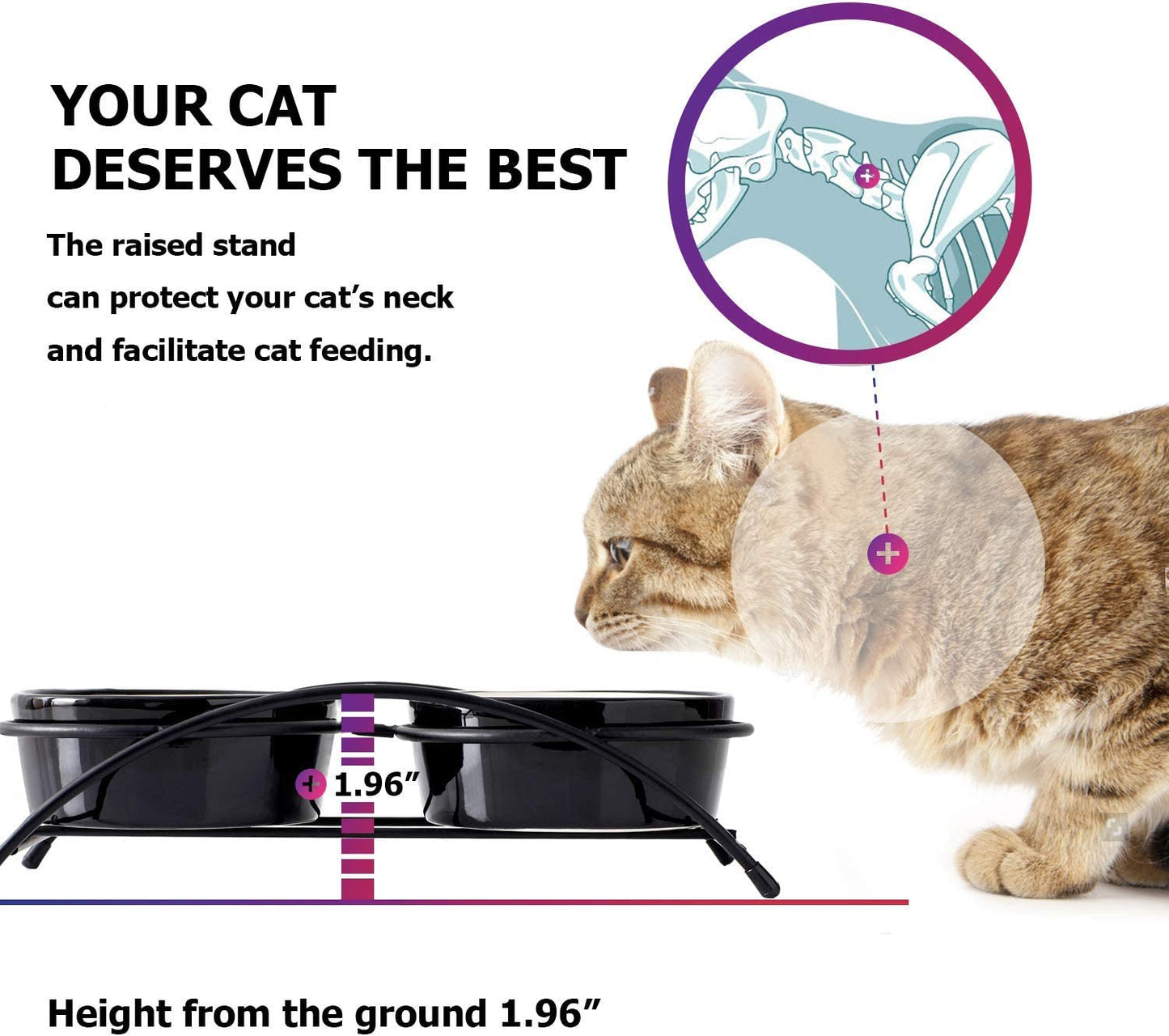 Elevated Ceramic Cat Bowls for Food and Water - 12 Ounce Capacity, Dishwasher Safe, Ideal for Cats and Small Dogs