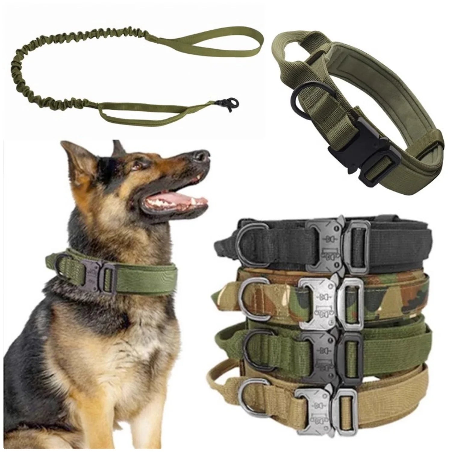 2-In-1 Dog Collar with Retractable Leash for Walking & Training